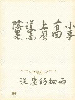 阴道上有小肉粒是怎么回事