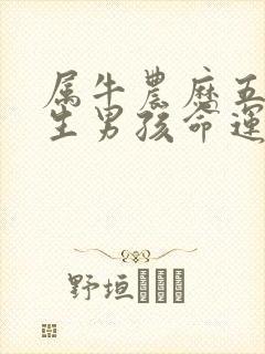 属牛农历五月出生男孩命运