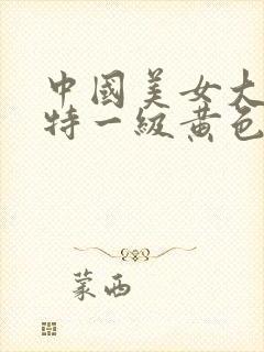 中国美女大奶子特一级黄色片封面