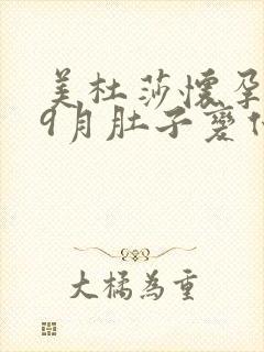 美杜莎怀孕1一9月肚子变化