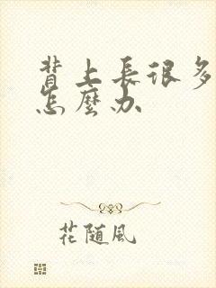 背上长很多痤疮怎么办