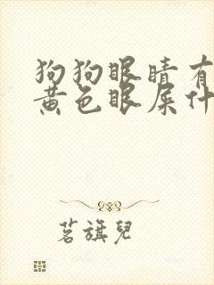 狗狗眼睛有脓的黄色眼屎什么原因