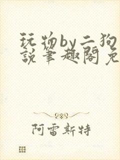 玩物by二狗小说笔趣阁免费阅读封面