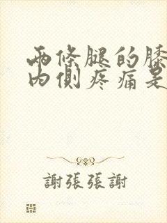 两条腿的膝关节内侧疼痛是什么原因封面