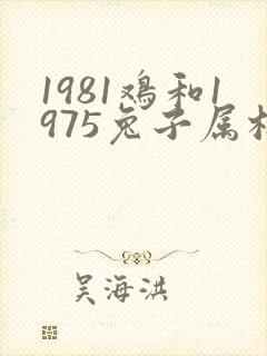 1981鸡和1975兔子属相合不合