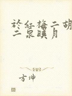 于红梅二胡独奏二泉映月