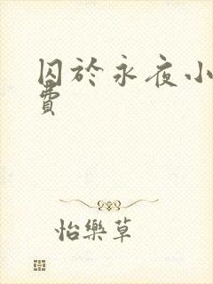 囚于永夜小说免费