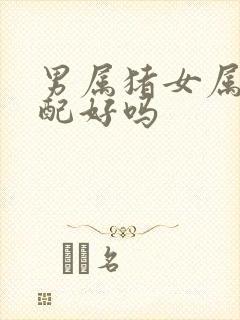 男属猪女属兔婚配好吗