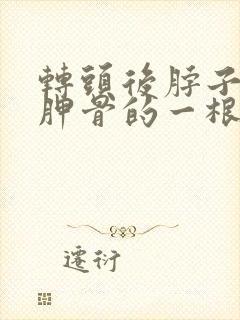 转头后脖子到肩胛骨的一根筋痛封面