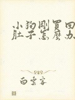 小狗刚买回来拉肚子怎么办