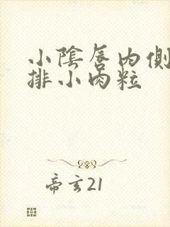 小阴唇内侧长一排小肉粒