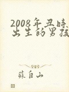2008年丑时出生的男孩命运