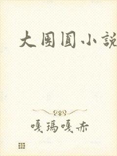 大团圆小说封面