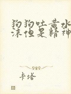 狗狗吐黄水带泡沫但是精神很好封面