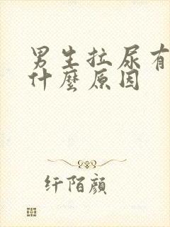 男生拉尿有血是什么原因