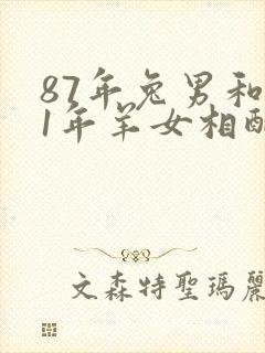 87年兔男和91年羊女相配婚姻如何封面