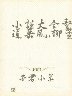 小说大全赘婿当道岳风,柳萱封面