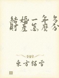 结婚一年多离婚财产怎么分割