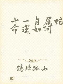 十一月属蛇男的命运如何