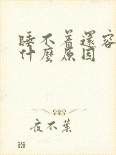 睡不着还容易醒什么原因