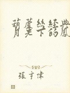 葫芦丝经典曲目月光下的凤尾竹