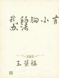 我的胸小有什么办法封面