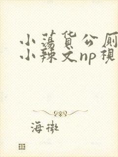 小荡货公厕h文小辣文np视频