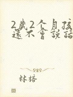 2岁2个月孩子还不会说话