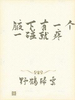 腋下有一个疙瘩一碰就疼封面