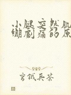 小腿突然肌肉紧绷剧痛的原因封面