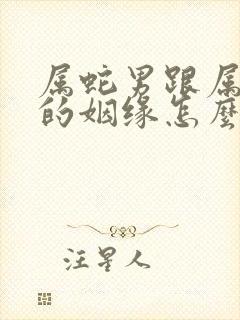 属蛇男跟属鸡女的姻缘怎么样