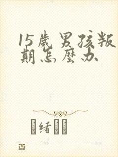 15岁男孩叛逆期怎么办封面