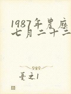 1987年农历七月二十二出生的人命运
