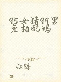 95女猪99男兔相配吗封面