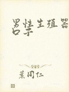 男性生殖器裂小口子封面