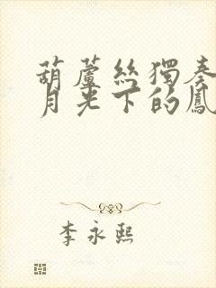 葫芦丝独奏曲 月光下的凤尾竹降b调