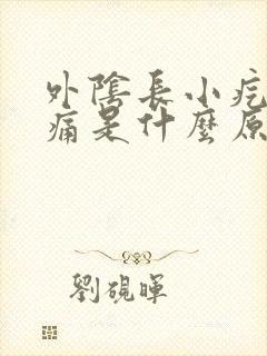 外阴长小疙瘩痒痛是什么原因