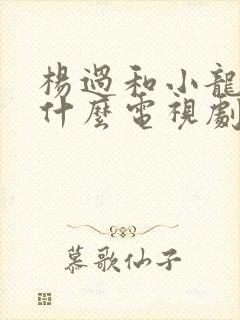 杨过和小龙女是什么电视剧