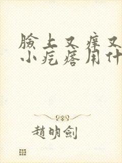 脸上又痒又红起小疙瘩用什么药