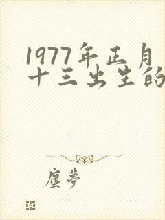 1977年正月十三出生的命运
