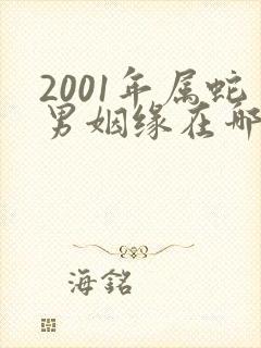 2001年属蛇男姻缘在哪年