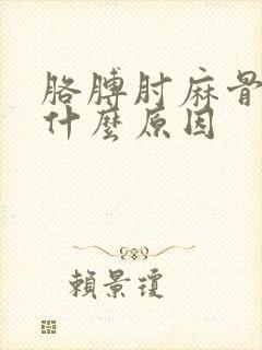 胳膊肘麻骨疼是什么原因封面