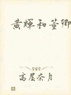 黄辉和董卿照片