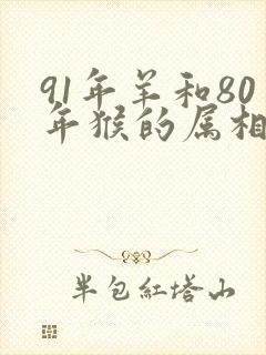 91年羊和80年猴的属相适合结婚吗