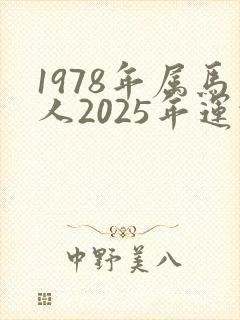 1978年属马人2025年运势
