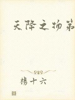 天降之物第一季