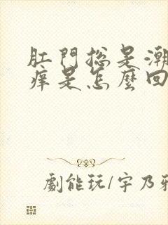 肛门总是潮湿瘙痒是怎么回事封面