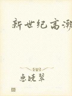 新世纪高潮战队