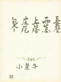 包皮上面长了一个疙瘩怎么回事