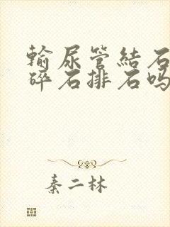 输尿管结石可以碎石排石吗